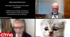 چگونه یک وکیل آمریکایی با فیلتر گربه در اینترنت معروف شد؟