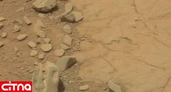 کشف عجیب اسکلت یک دایناسور در مریخ