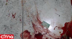 شلیک در خانه زن خائن تهرانی