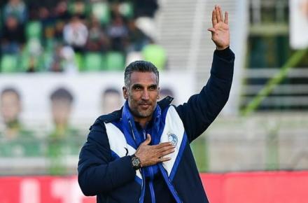 مهدی هاشمی نسب