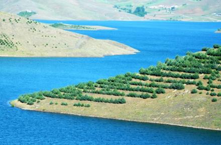 ایرانسل