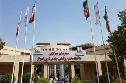 دانشگاه