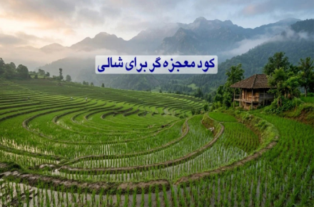 کود