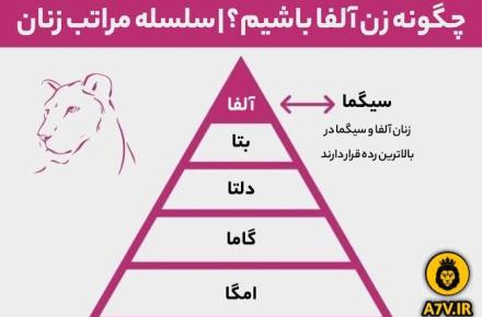 تولد
