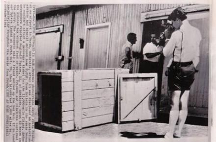 مردی که خودش را پُست کرد (+تصاویر)