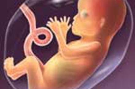 تاثیر تشعشعات موبایل بر روی 4000 زن باردار در ایران