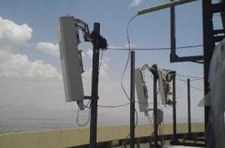 سازمان محیط زیست، پارازیت را سرطان‌زا اعلام کرد 