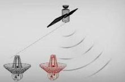 پارازیت‌هایی که روی سلامت می‌افتد 