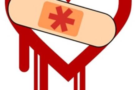 دو سوم سایت‎های اینترنتی خونریزی قلبی دارند