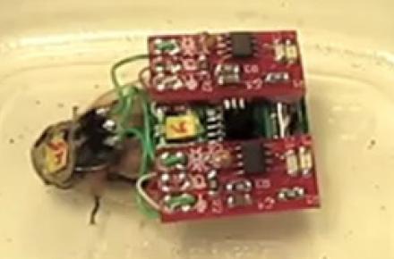 کنترل از راه دور سوسک با موبایل +عکس