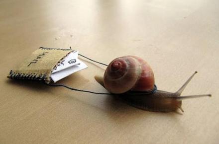 کند مثل اینترنت؛ خواب مثل متولیان اینترنت! 