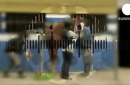 رهایی از اعتیاد به اینترنت با اسب سواری