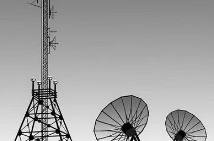 وزیر بهداشت: پارازیت‎ها هیچ تاثیری بر سلامت مردم ندارد