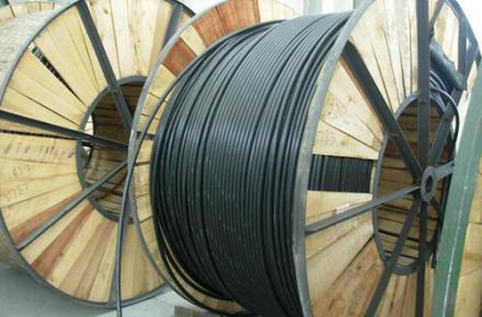 خسارت میلیونی دارکوب ها به مخابرات 