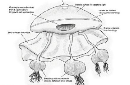 تصویری جدید از موجودات فرازمینی! 
