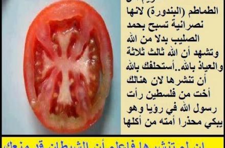 اتحادیه اسلامی مصر در فیس بوک اعلام کرد:  گوجه فرنگی مسیحی است و خوردنش حرام!