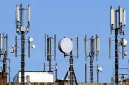 اثرات پارازیت بر سلامتی مردم بررسی شود