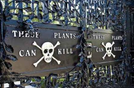 10 مکان مخوف در دنیا که جرات حضور در آنها را ندارید! (+تصاویر)