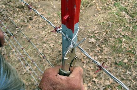 قیمت نصب سیم خاردار؛ هزینه و روش نصب سیم خاردار خطی و حلقوی