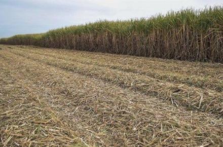 تحول چشمگیر ثبت درخواست‌های موفق در سامانه پنجره واحد مدیریت زمین