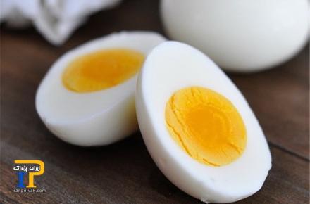از تخم مرغ گیاهی چه می‌دانید؟