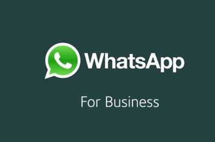 معرفی قابلیت‌های جدید واتس اپ تجاری