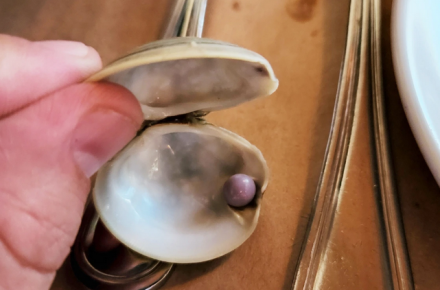 مشتری خوش‌شانس یک مروارید بنفش کمیاب در غذای خود پیدا کرد