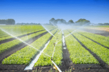 انواع روش های آبیاری