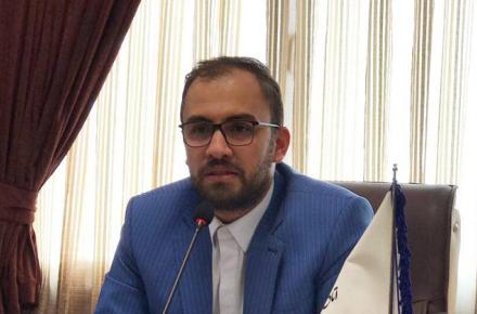 واردکنندگان مجاز گوشی ظرفیت رفع نیاز کشور را ندارند