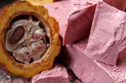 تولید شکلات یاقوتی در سوئیس