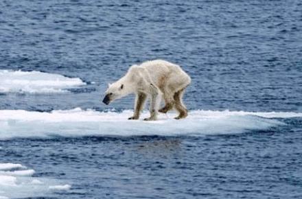 انتخاب تکان دهنده ترین عکس سال 2015 