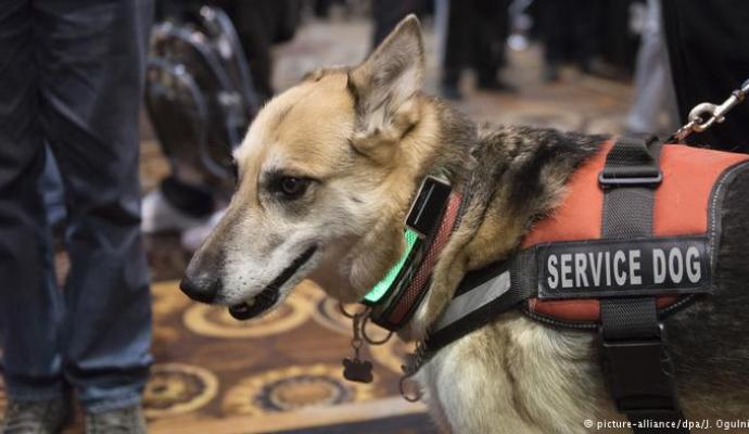 تصاویری از نمایشگاه محصولات الکترونیکی (CES) لاس‌وگاس