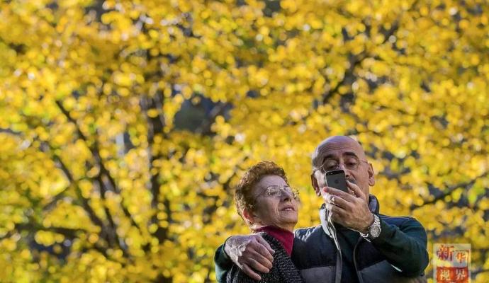 تصاویر/ سلفی های جالب سال 2015 