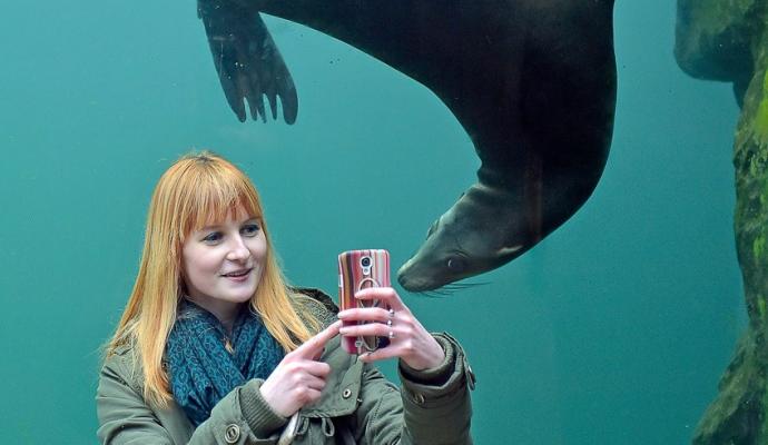 تصاویر/ سلفی های جالب سال 2015 