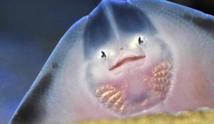 تصاویر دیدنی از دنیای حیوانات 2016