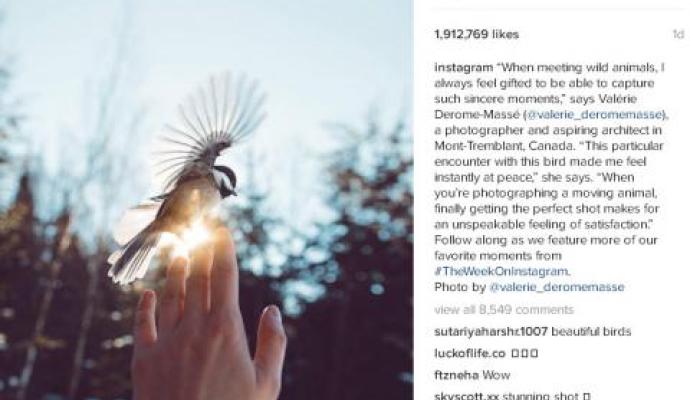 عکس های اینستاگرام با لایک های میلیونی