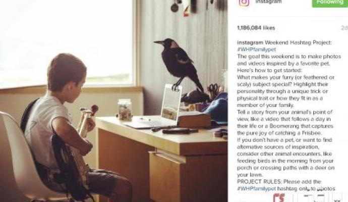 عکس های اینستاگرام با لایک های میلیونی