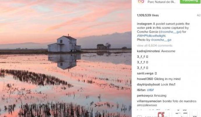 عکس های اینستاگرام با لایک های میلیونی