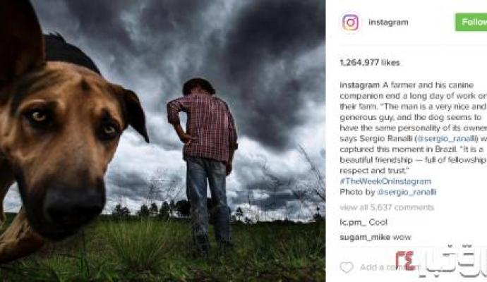 عکس های اینستاگرام با لایک های میلیونی