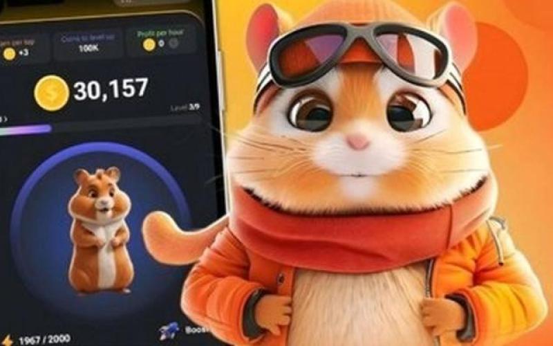 همستر کامبت