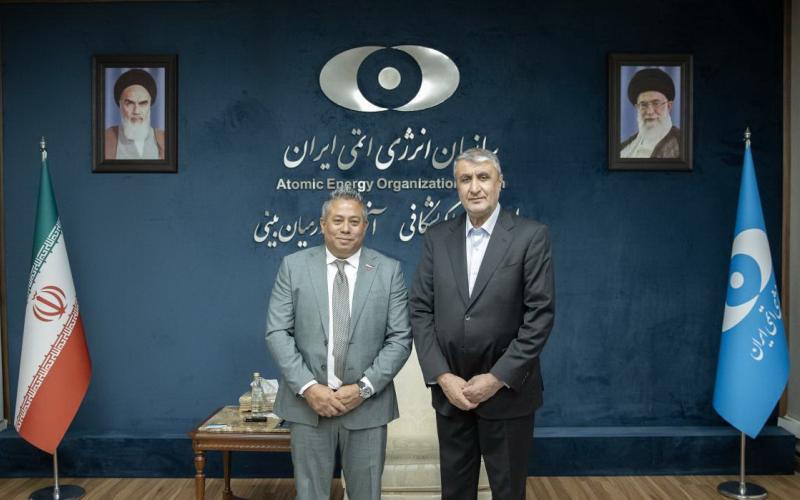 سازمان انرژی اتمی