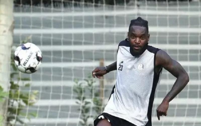 تیوی بیفوما 