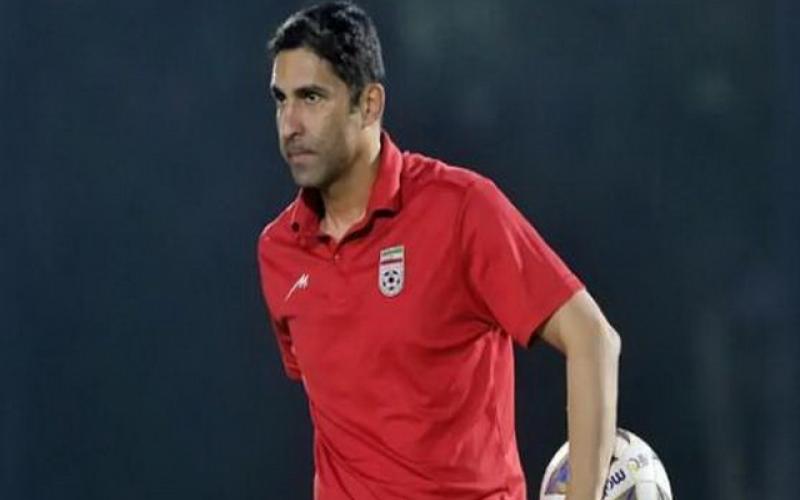 وحید هاشمیان  