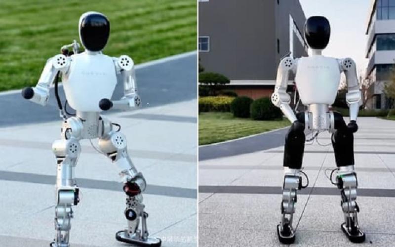 ربات انسان نما
