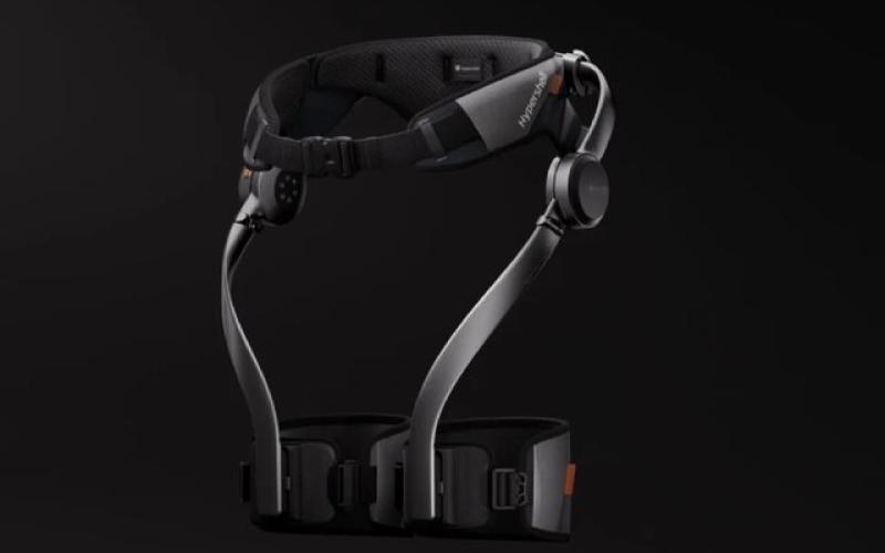 اسکلت بیرونی