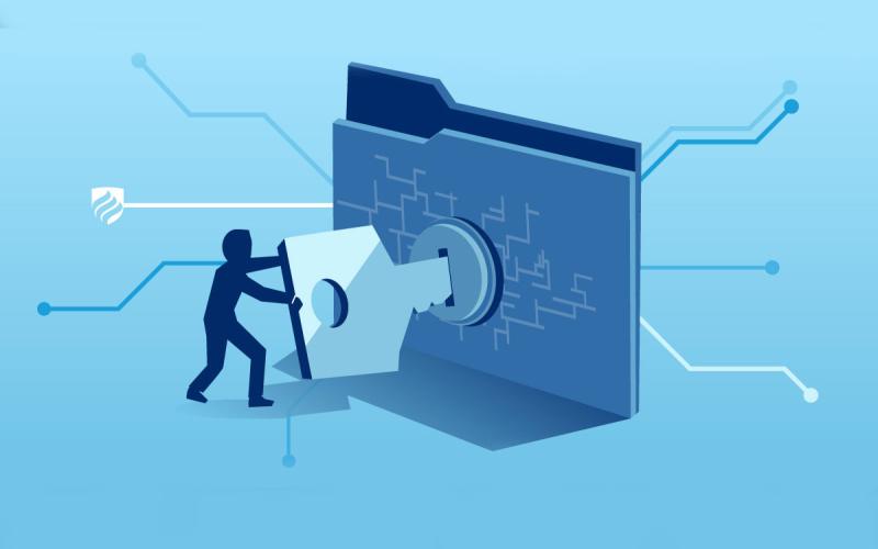 امنیت سایبری