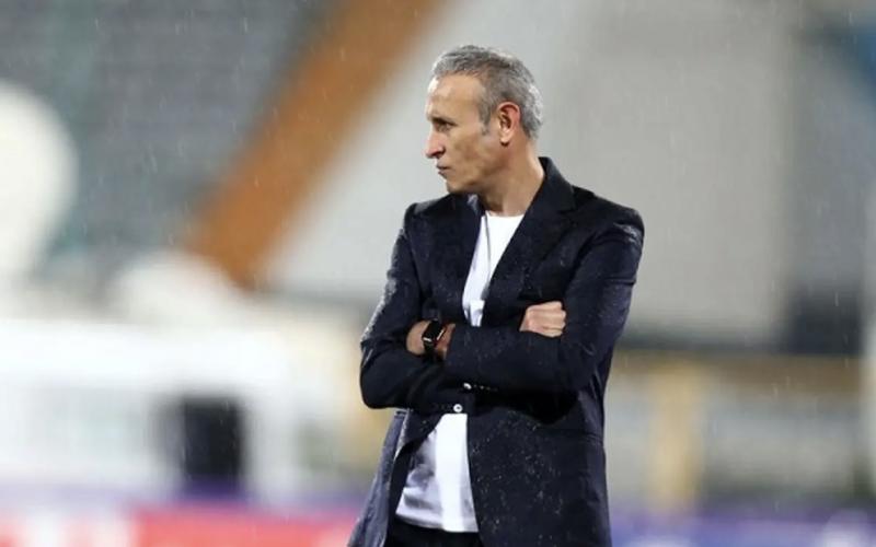 یحیی گل محمدی