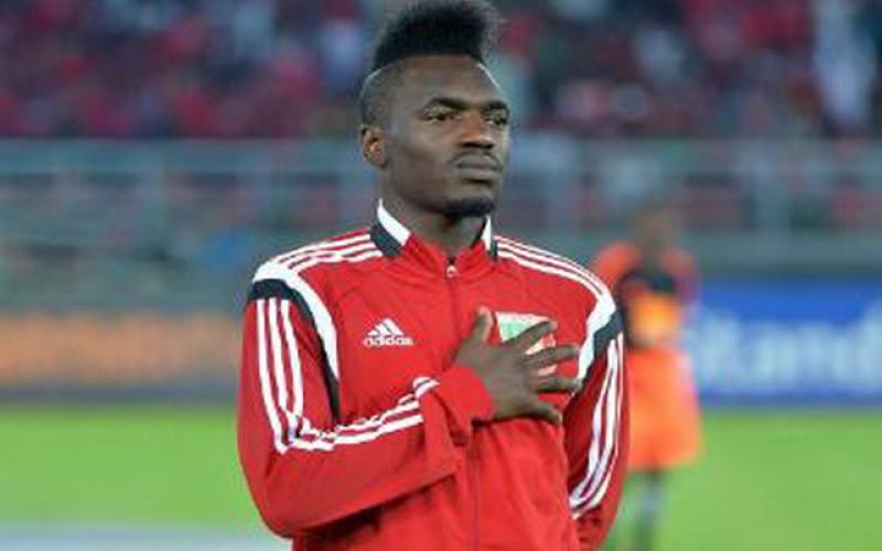 تیوی بیفوما