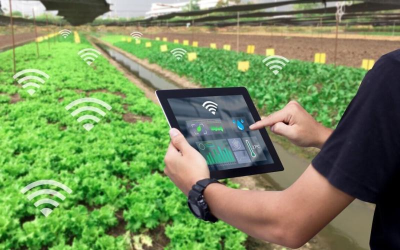 کشاورزی هوشمند