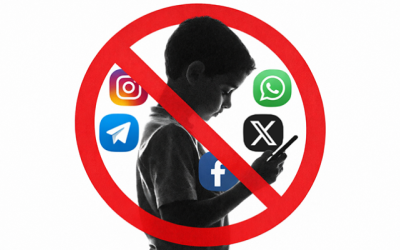 شبکه اجتماعی